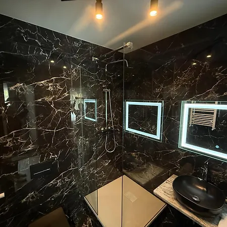 汽车旅馆 царська гора Mizhhirya (Transcarpathia)