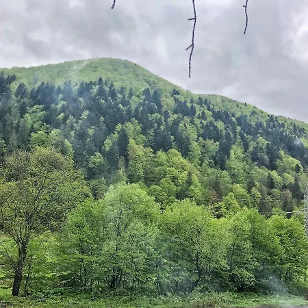 царська гора *